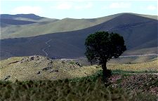 Het landschap rondom Cordoba
